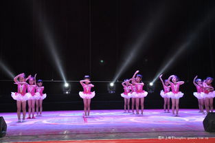 贝艺文艺汇演揭示幕后魅力 素装彩排也精彩