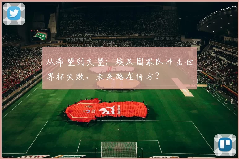 从希望到失望:埃及国家队冲击世界杯失败,未来路在何方?