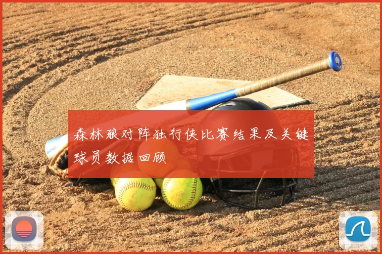 森林狼对阵独行侠比赛结果及关键球员数据回顾
