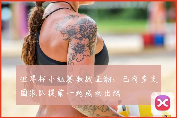 世界杯小组赛激战正酣,已有多支国家队提前一轮成功出线