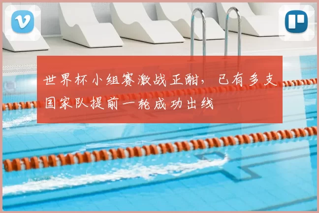 世界杯小组赛激战正酣,已有多支国家队提前一轮成功出线
