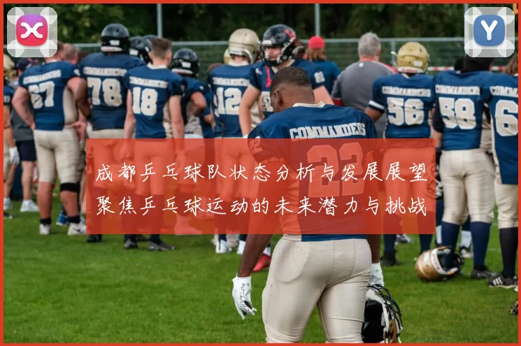 成都乒乓球队状态分析与发展展望聚焦乒乓球运动的未来潜力与挑战