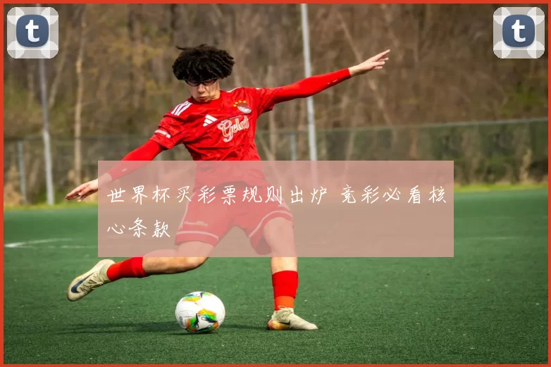 世界杯买彩票规则出炉 竞彩必看核心条款