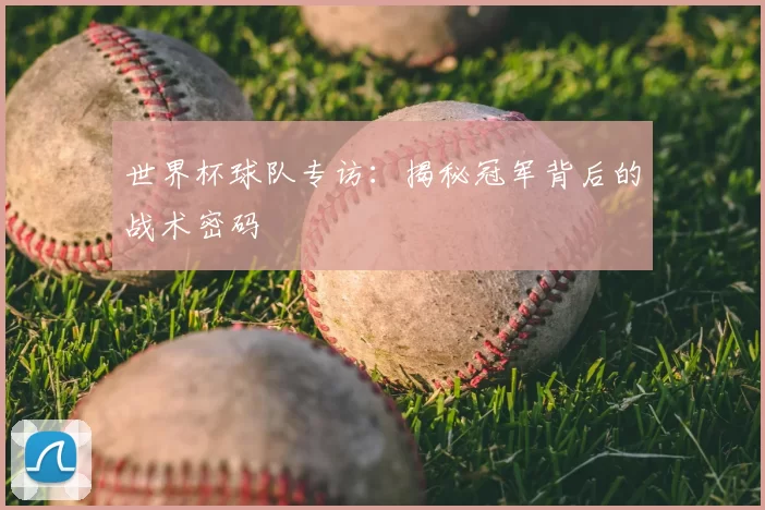世界杯球队专访:揭秘冠军背后的战术密码