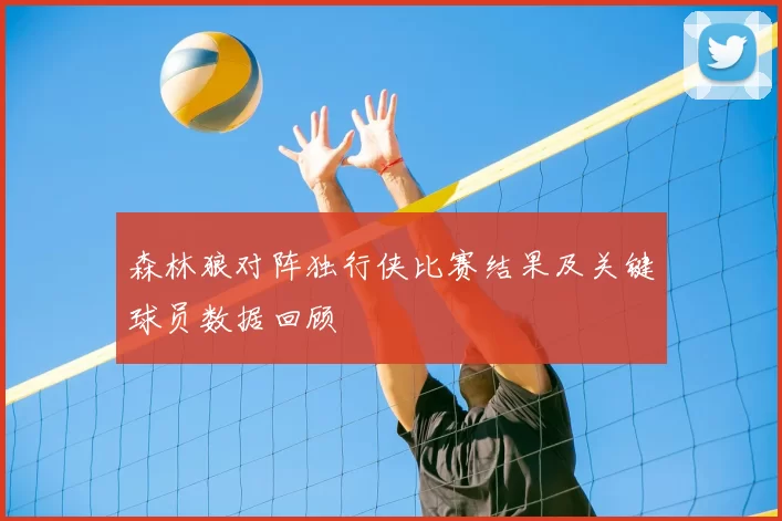 森林狼对阵独行侠比赛结果及关键球员数据回顾