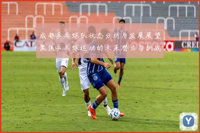 成都乒乓球队状态分析与发展展望聚焦乒乓球运动的未来潜力与挑战