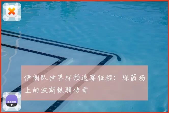 伊朗队世界杯预选赛征程:绿茵场上的波斯铁骑传奇