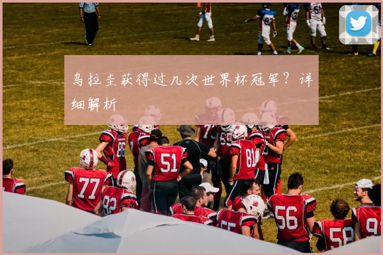 乌拉圭获得过几次世界杯冠军?详细解析