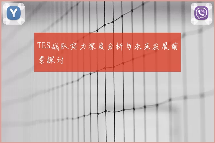 TES战队实力深度分析与未来发展前景探讨