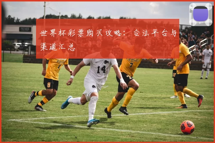 世界杯彩票购买攻略:合法平台与渠道汇总