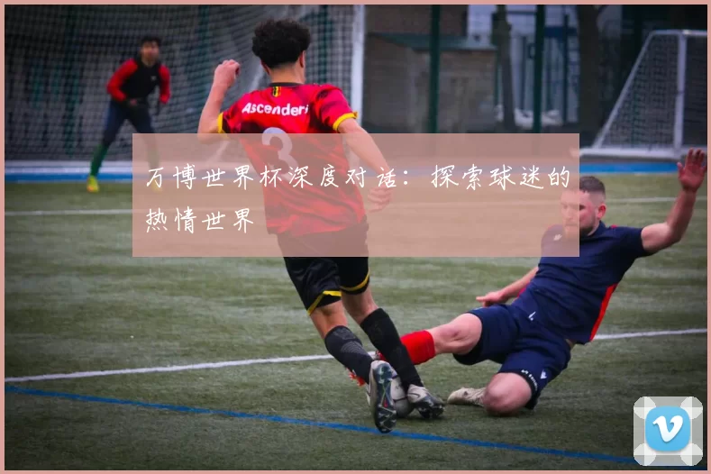 万博世界杯深度对话:探索球迷的热情世界