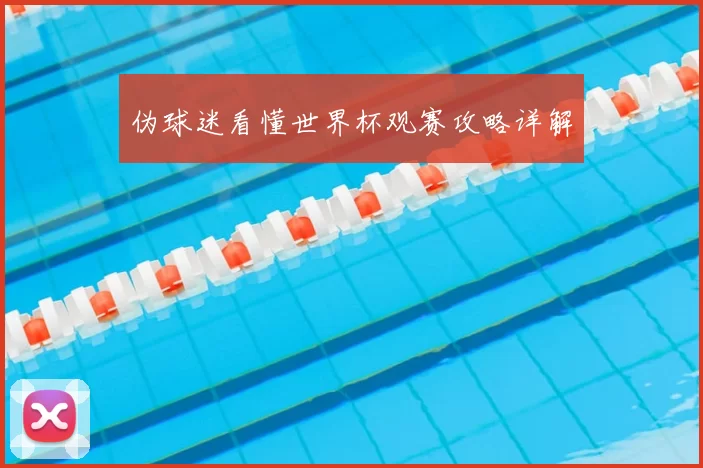 伪球迷看懂世界杯观赛攻略详解