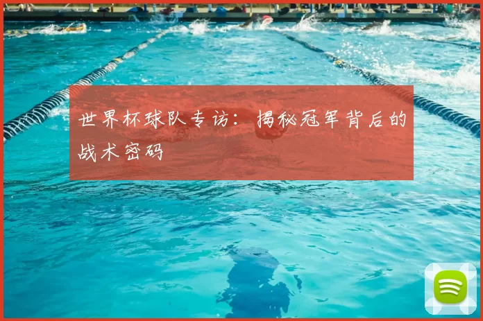世界杯球队专访：揭秘冠军背后的战术密码