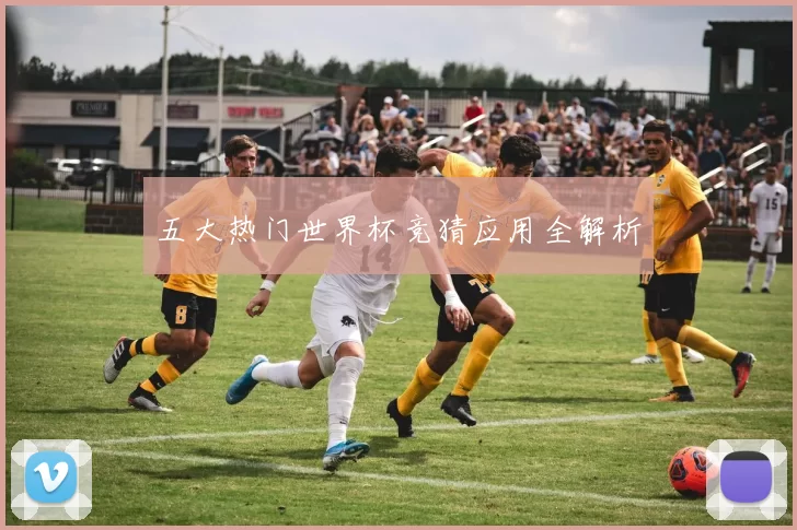 五大热门世界杯竞猜应用全解析