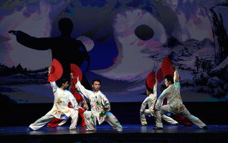 扇舞太极韵，书卷映丹心——我院《扇心书韵》在“出彩河南人”文艺精品展演中绽放异彩